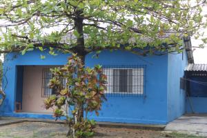 een blauw huis met een boom ervoor bij Temporada no Paraíso in Ilha Comprida