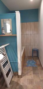 ein Badezimmer mit einer Badewanne, einem Waschbecken und einem Spiegel in der Unterkunft L'établi in Chécy