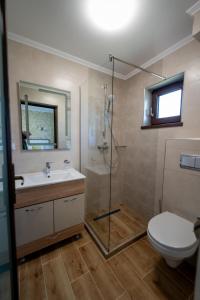 a bathroom with a shower and a toilet and a sink at Evergreen Chalet in Avrig