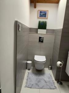 Vannituba majutusasutuses LiMo Apartman