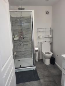 La salle de bains est pourvue d'une douche et de toilettes. dans l'établissement PaulAngela, à Avignon
