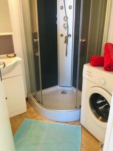 a shower in a bathroom with a washing machine at petite maison traditionnelle in Saint-Leu