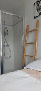 une douche avec une porte en verre à côté d'un lit dans l'établissement Mignon petit appartement indépendant, à Mérignac