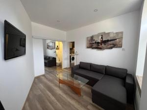 a living room with a couch and a flat screen tv at ApartmentsByMatyrafa-III in Tarnowskie Góry