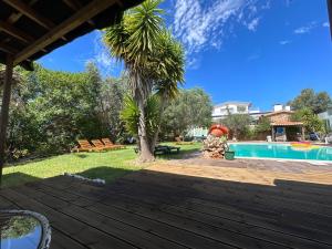 un patio trasero con una palmera y una piscina en Quinta da Joia, en Silves