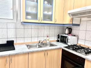 a kitchen with a sink and a microwave at Apartments Ana & Ita in Novalja