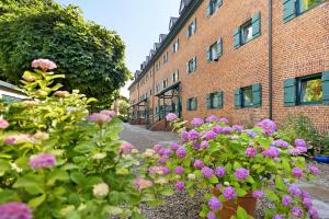 a garden of pink flowers in front of a brick building at Haus Förde Kanalpackhaus in Holtenau