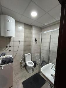 y baño con aseo, lavabo y ducha. en Matic Apartmani 4 en Trnava