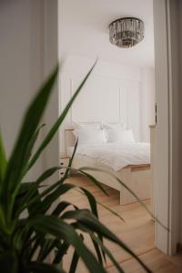 um quarto com uma cama e um vaso de plantas em Modern Apartment in Timisoara em Timisoara
