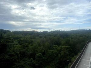 an aerial view of a forest of trees next to a road at Modern Apartment in WP Putrajaya in Putrajaya