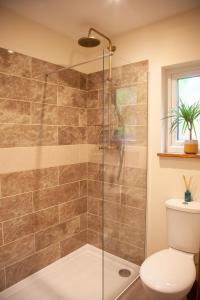 a bathroom with a shower with a toilet at HAYNE BARN ESTATE ECOLODGES in Hythe