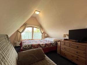 Schlafzimmer mit einem Bett, einem TV und einem Fenster in der Unterkunft Wynajem Pokoi-Dom Sw Stanislawa in Zakopane