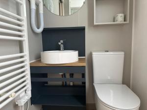 W łazience znajduje się umywalka, toaleta i lustro. w obiekcie Camping I Melograni w mieście Marina di Bibbona