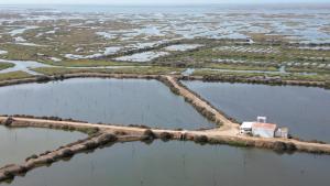 una vista aerea di un corpo idrico di Herdade dos Salgados do Fialho a Faro