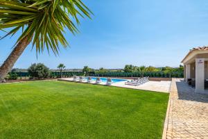einen Hinterhof mit einem Pool und einer Palme in der Unterkunft Villa Paradise by Algarve Vacation in Lagoa