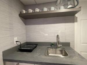 a kitchen counter with a sink and a shelf with dishes at Fully Furnished CozyTwo Bedroom in Winnipeg