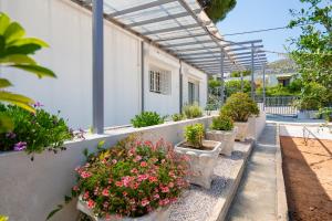 a row of potted plants on the side of a building at Livingstone Cottage by A&D Properties in Porto Rafti