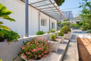 eine Reihe von Topfpflanzen an der Seite eines Gebäudes in der Unterkunft Livingstone Cottage by A&D Properties in Porto Rafti