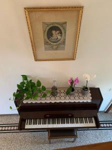 a table with plants and a picture on the wall at Bed and Breakfast Villa Adelina in Lucca +31 photos