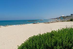 une plage de sable avec l'océan en arrière-plan dans l'établissement 50 meters from the Sea, Ashkelon, à Ashkelon