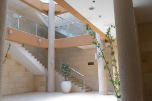 un escalier dans un bâtiment avec une plante en pot dans l'établissement 50 meters from the Sea, Ashkelon, à Ashkelon
