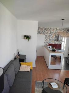 sala de estar con sofá gris y cocina en Appartement lumineux dans les hauts de Recouvrance en Brest