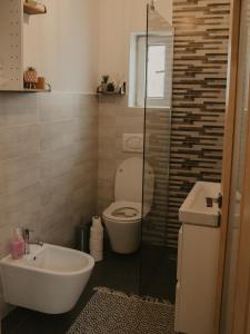 a bathroom with a toilet and a sink at HomyHouse in Sibiu +18 photos