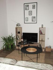 a living room with a table and a tv at OBALA apartman in Subotica