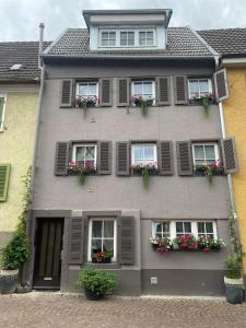 a gray house with flower boxes and windows at Barockes Refugium I 10 Minuten zum Europa-Park in Ettenheim