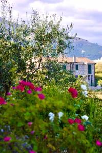 un campo de flores con una casa en el fondo en La Riggiola, en Salerno