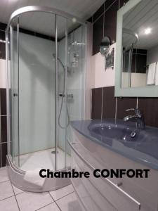 Hôtel Terminus - Pizzeria Pizz'a gogo - salle de sport - face à la gare的一间浴室