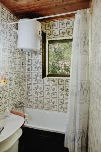 Un baño con bañera, lavabo y ventana. en Holiday Home Nanin Konak, en Vrdnik