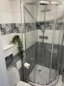 ein Bad mit einer Dusche und einem WC in der Unterkunft Apartament Reszel in Reszel