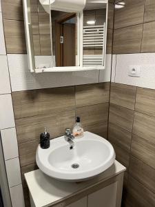 y baño con lavabo blanco y espejo. en Apartments Malivojevič, en Žirovnica