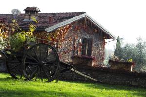 A garden outside Borgo Santa Giulia
