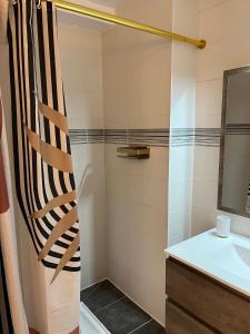 een badkamer met een wastafel en een douche bij Terra Residence - Superbe, calme et lumineux in Thonon-les-Bains