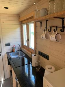 een keuken met een wastafel en een aanrecht bij Seaside holiday home Vecvalki in Saunags