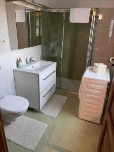 uma casa de banho com um WC, um lavatório e um chuveiro em konoba em Rab