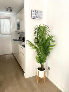 Fotografie z fotogalerie ubytování Boutique Home Canteras v destinaci Las Palmas de Gran Canaria
