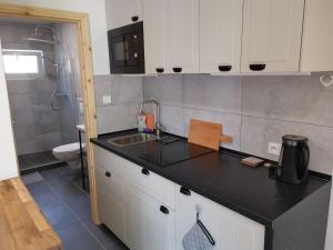 Kuchyň nebo kuchyňský kout v ubytování Wellness Hotel Koliba