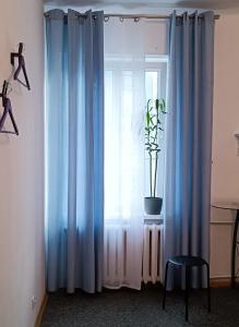 een raam met blauwe gordijnen en een potplant bij Prywatny pokój dla dwóch osób. Centrum. Pokój 5 in Warschau