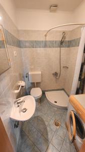 ein Badezimmer mit Toilette, Waschbecken und Dusche in der Unterkunft Apartments Dani in Izola + 21 Fotos
