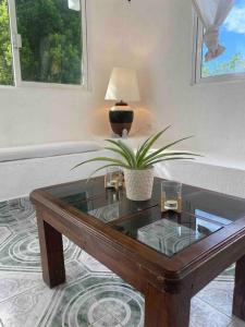 a living room with a glass coffee table with a plant at Apartment located two blocks from the sea in Cozumel