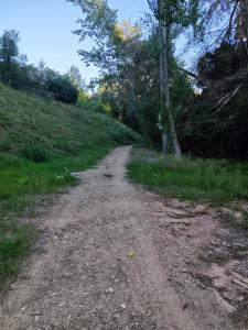 Příroda nedaleko prázdninového domu