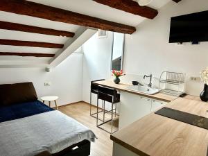 um quarto com uma cama e uma cozinha com um lavatório em Romeo apartments Rovigno em Rovinj