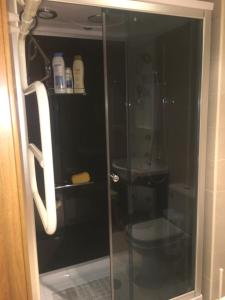 La salle de bains est pourvue d'une cabine de douche en verre et de toilettes. dans l'établissement Casa Amparo, à San Miguel de Reinante