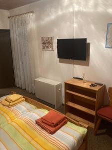 a bedroom with a bed and a tv and a chair at Waldblick in Simmerath