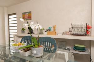Private Apartment with 2Rooms, pool & picnic area في كانكون: مطبخ مع طاولة زجاجية عليها نبات