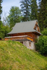 uma cabana de madeira no topo de uma colina em Domki Burego w Białce Tatrzańskiej em Białka Tatrzanska