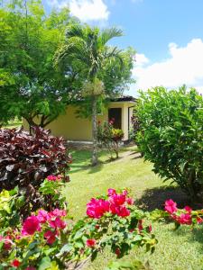 um jardim com flores cor-de-rosa em frente a uma casa em Lakeview Arenal 1 Bed Suite, Communal Pool & Gym - 2024 Traveller Awards Winner em Tronadora